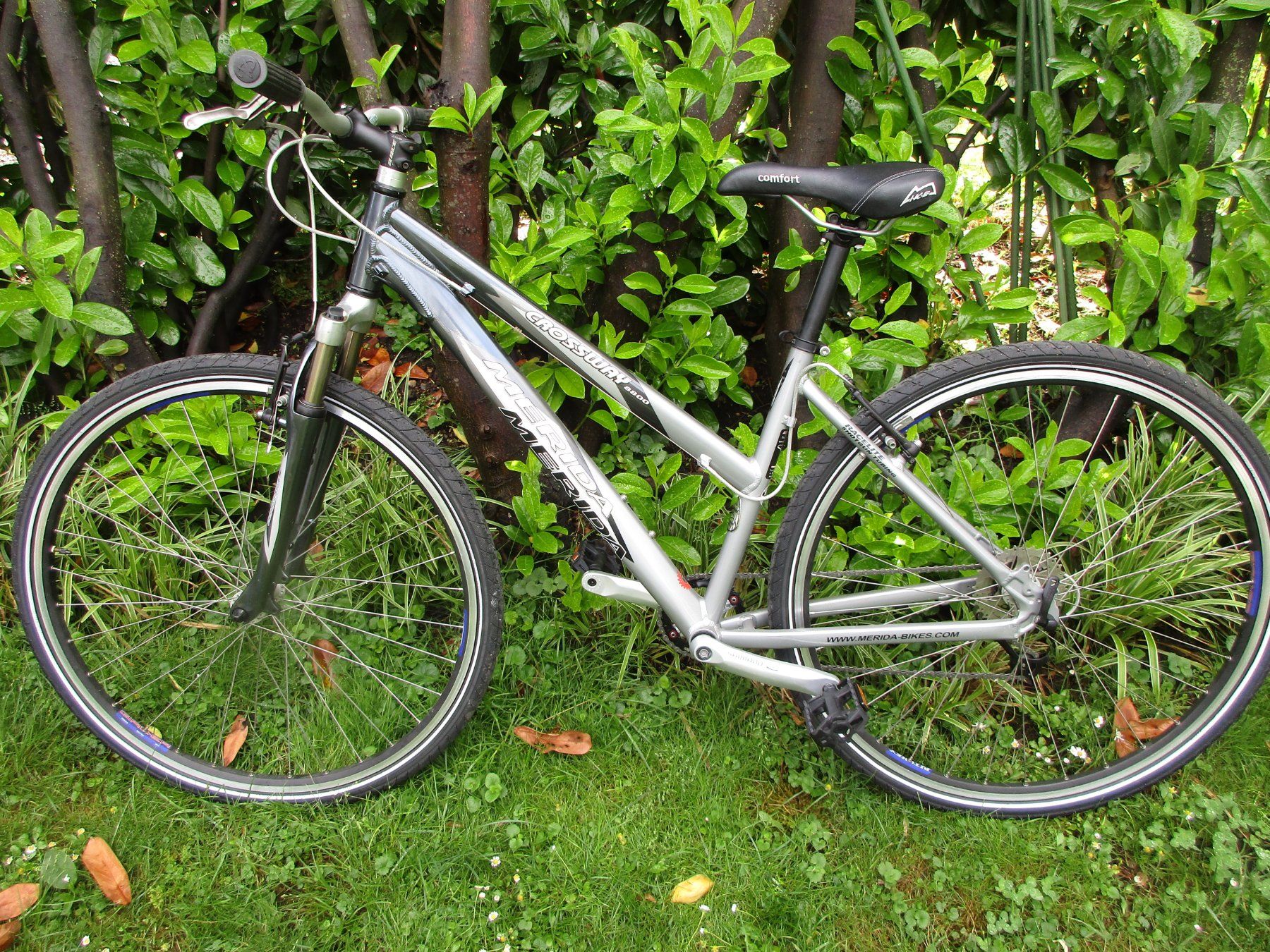 damenfahrrad rennrad Basso Damen-Rennrad 55CM L'Eroica Vintage Steelbike Fritteuse Öl Domo DO464FR Küchen-Organizer Schlüsselhalter 3 + 4:Esche