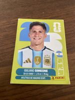 Panini Arg 20