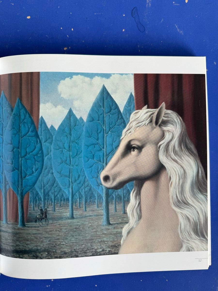 Libri: Femmes de cheval : Dix mille ans de relations amoureuses – Usato da Adliswil venduto da buch_und_kunst 5