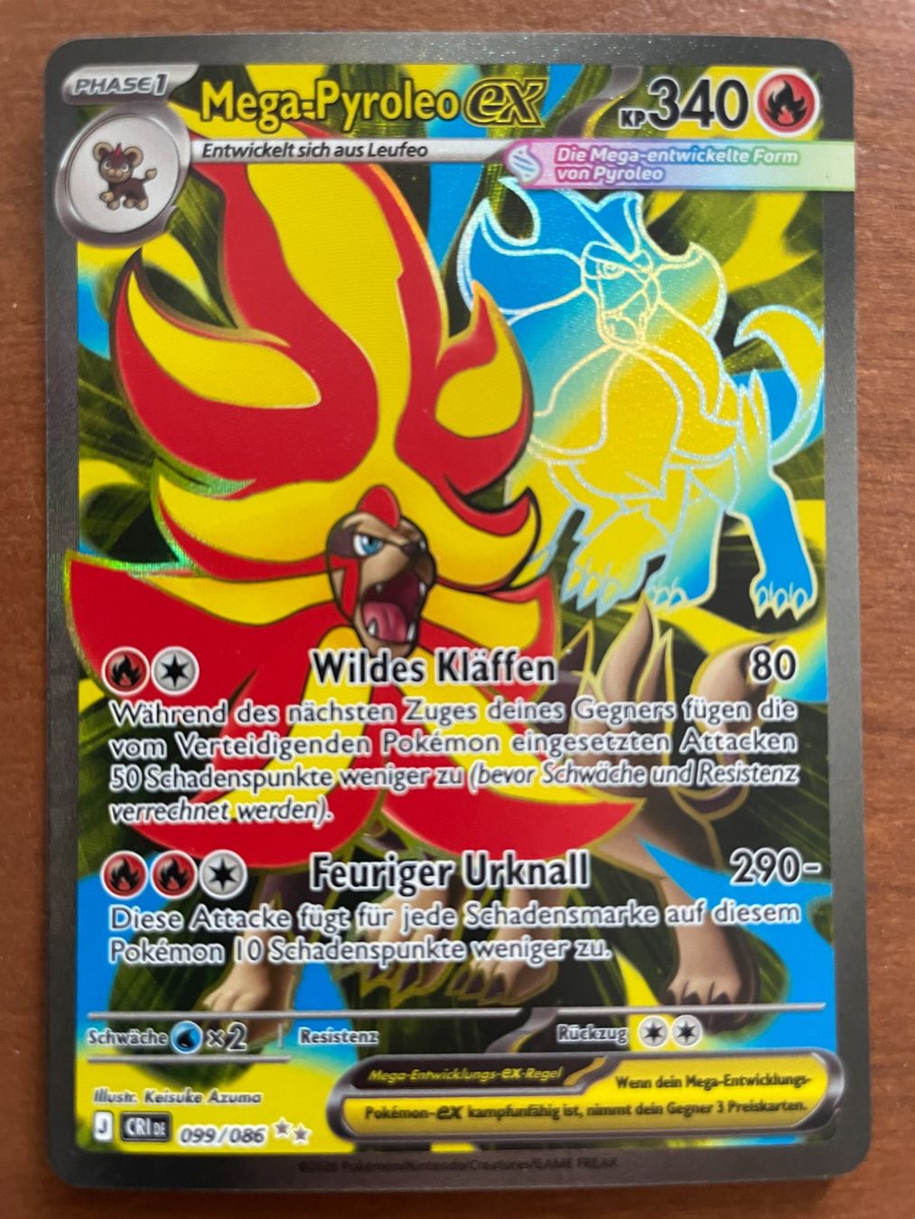 Pokémon Carte collezionabili: Pokemon Mega-Pyroleo eX (Versand gratis) – Nuovo (secondo la descrizione) da Chur venduto da Angerson