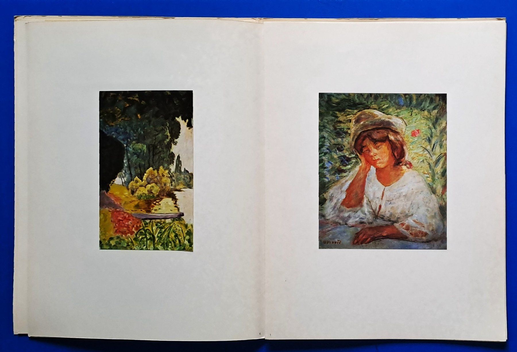 Libri: BONNARD  vollständiges Ex. SUITES No. 23 EA 1969 – Usato da Zürich venduto da archiphil 4