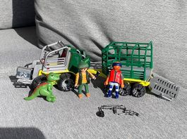 Playmobil 5236 dinos