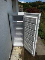 Tiefkühler Prima Vista 168liter