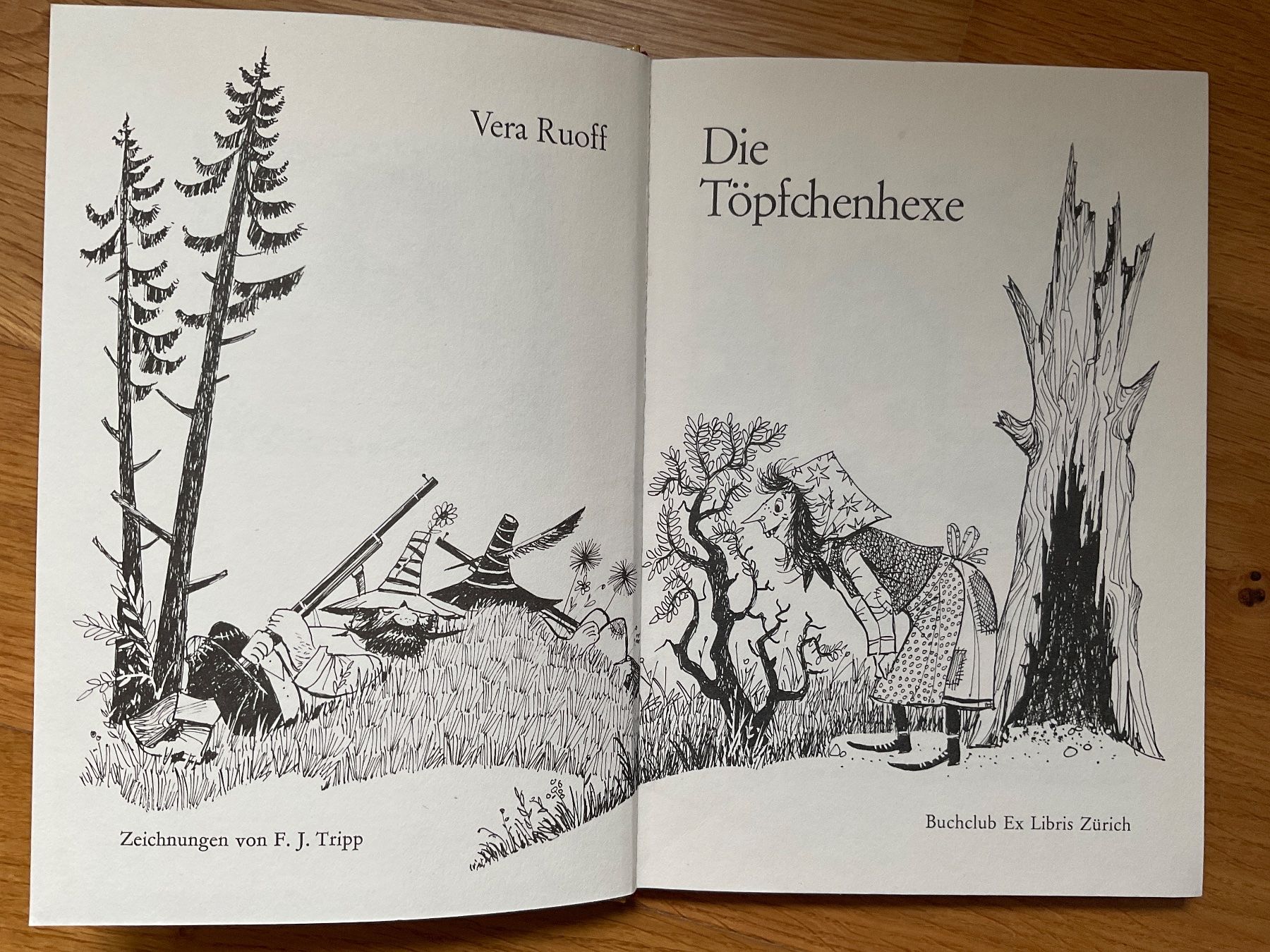 Libri: Die Töpfchenhexe, Buch, Kinderbuch – Usato da Dinhard venduto da R.B.G23 2