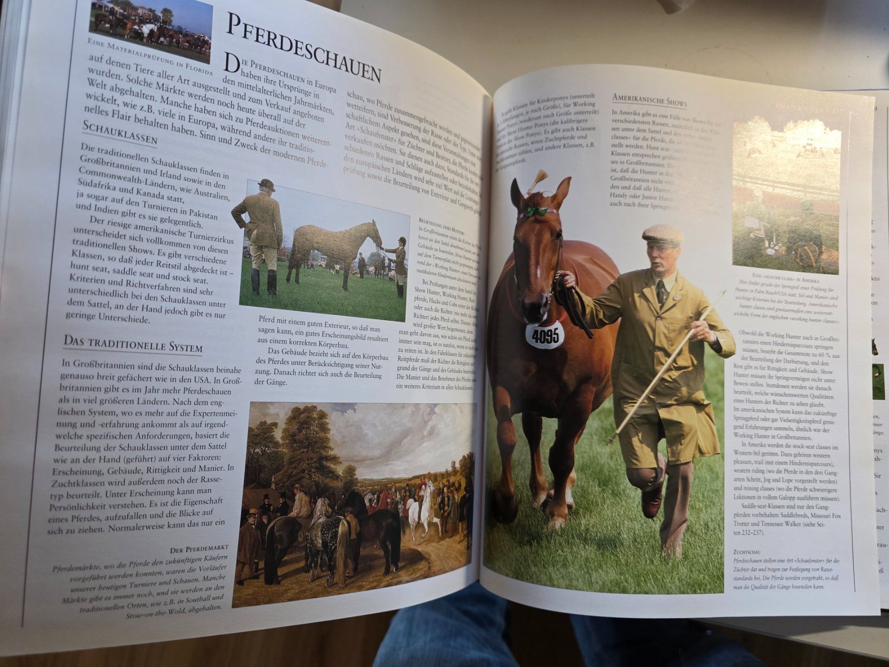 Bücher: die BLV Enzyklopädie der Pferde - 1995 – Gebraucht aus Walterswil BE von Lonitti 4