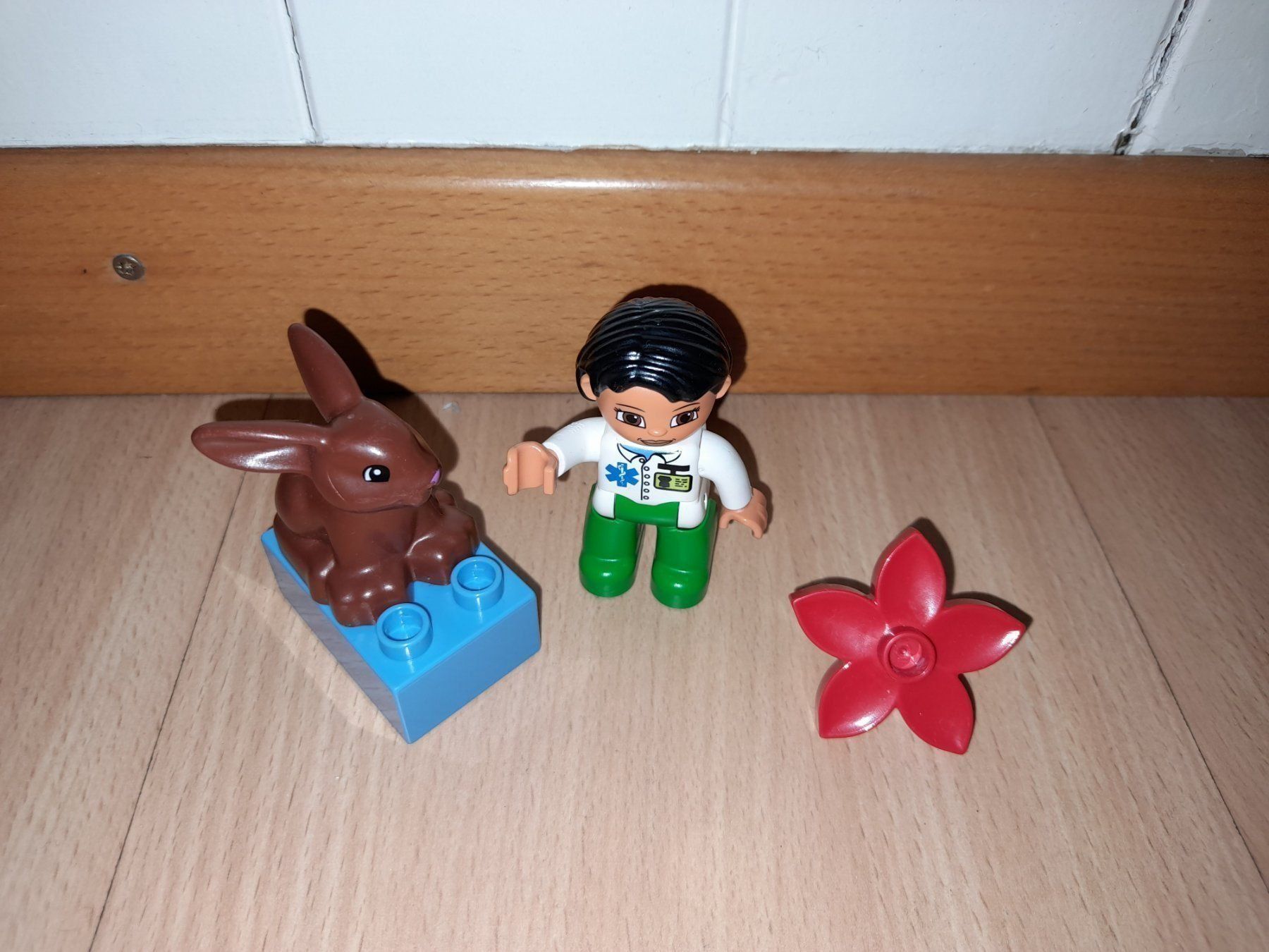 Lego Giocattoli: Lego Duplo Tierärztin 5685 – Usato da Wittenbach venduto da Gugielmo 1