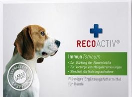 RECOACTIV® Immun Tonicum für Hunde 1x 90ml