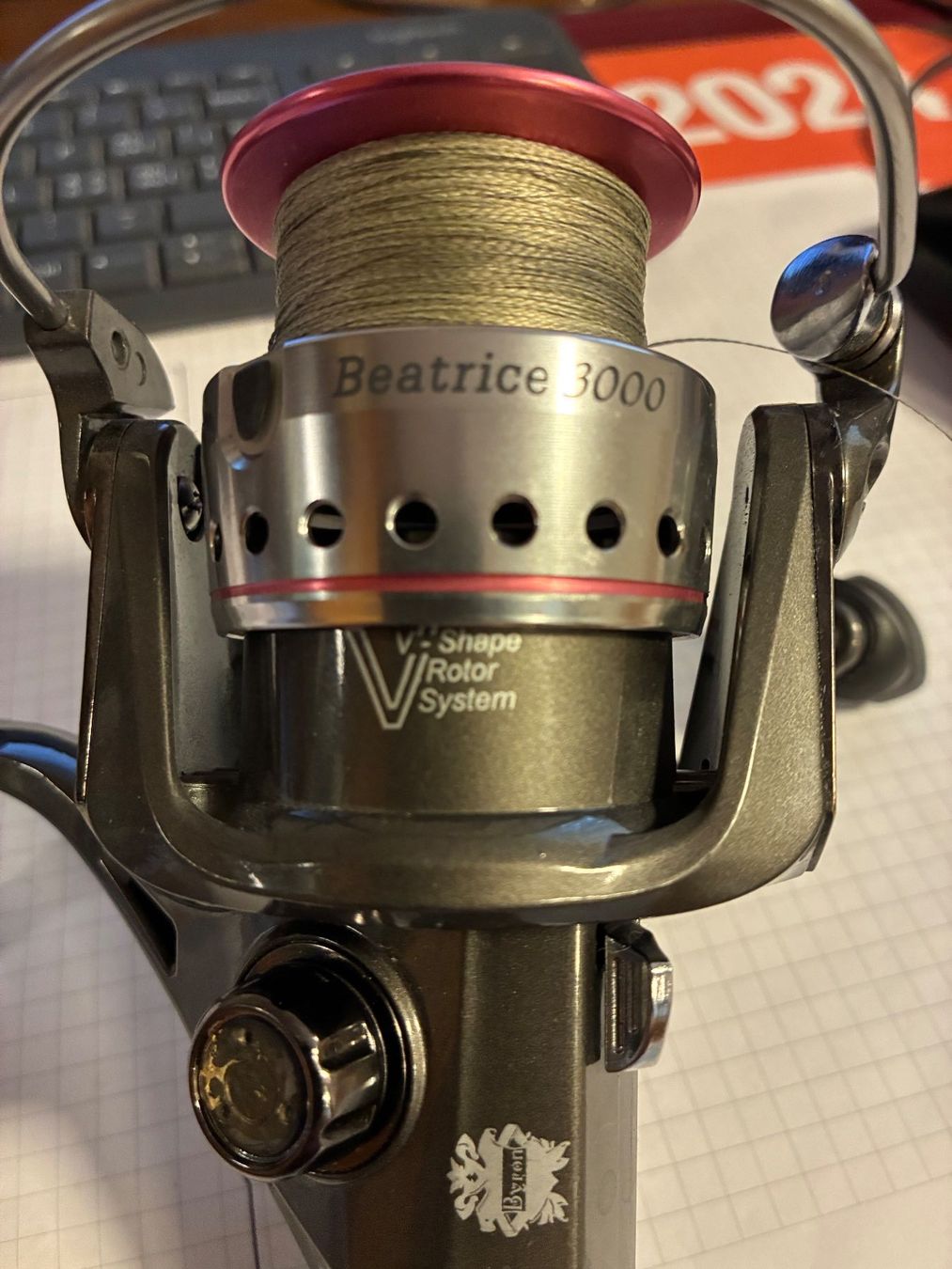 Tamburi & Mulinelli: Beatrice 3000 Angelrolle – Usato da Pfäffikon ZH venduto da mespe01 5