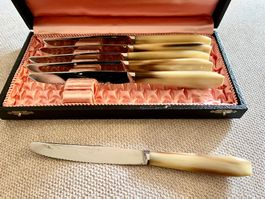 Hornmesser set