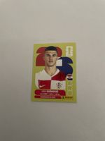 FIFA WM 2026 Luka Vuskovic CRO 6