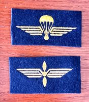 badge abzeichen pilote grenadier parachutist fallschirmjager