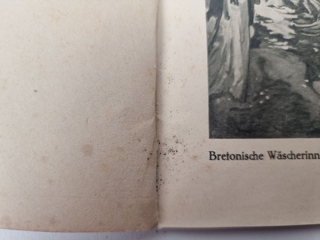 Bücher: Buch Cuno Amiet – Gebraucht aus Urtenen-Schönbühl von Restwert_Schoenbuehl 4