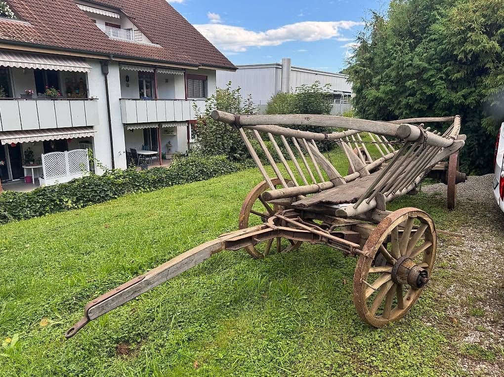 Carrelli di trasporto: Alter Leiterwagen – Usato da Gipf-Oberfrick venduto da pis_c6vd