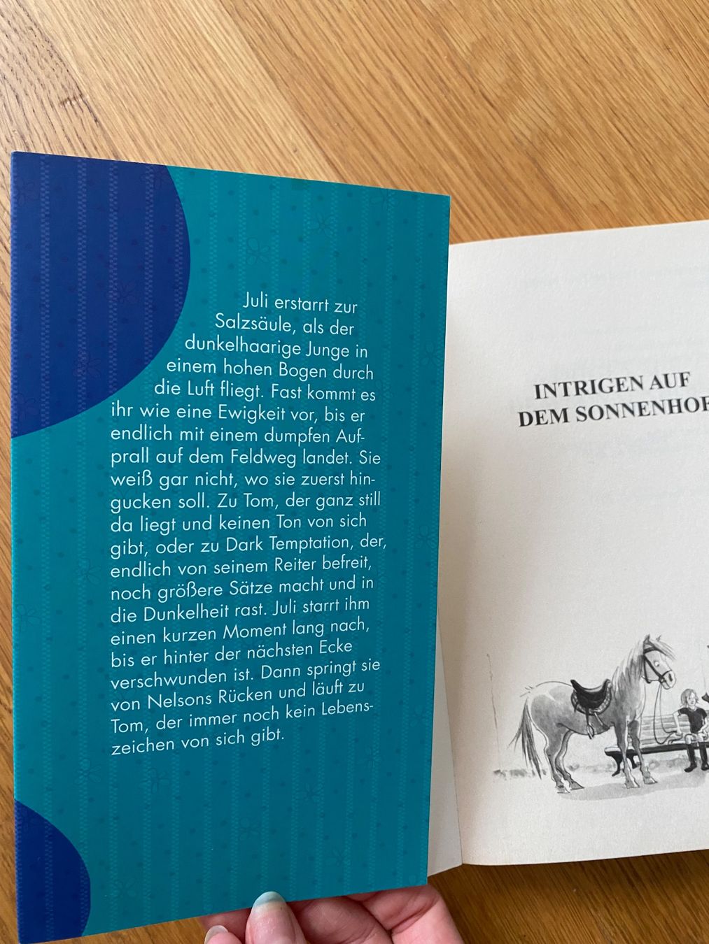 Libri: Buch "Ferien auf dem Sonnenhof" – Nuovo (secondo la descrizione) da Riedholz venduto da lenibeni03 2