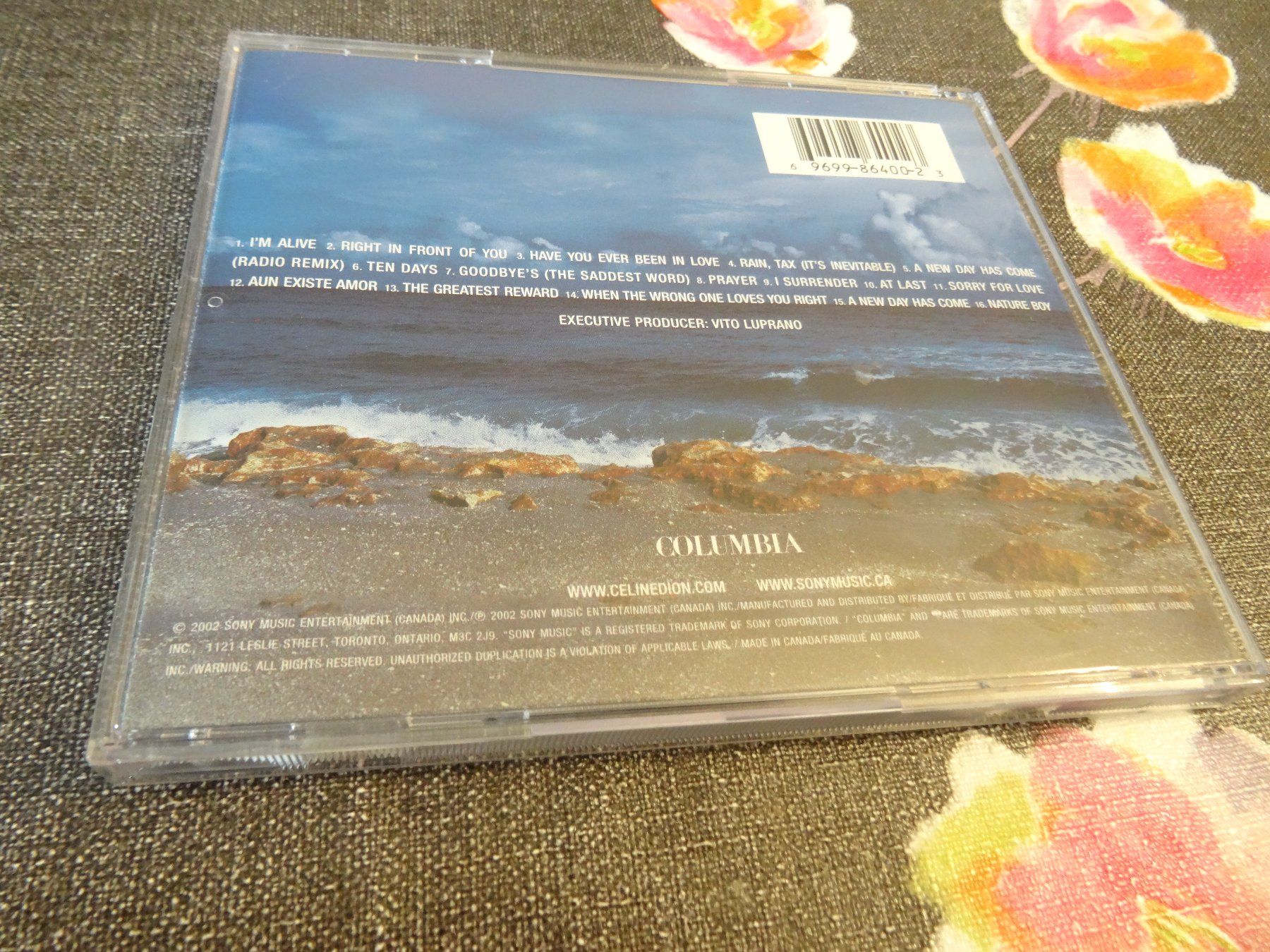 CD: Celine Dion - A New Day has Come CD – Usato da Olten venduto da Disc-Ausverkauf 1