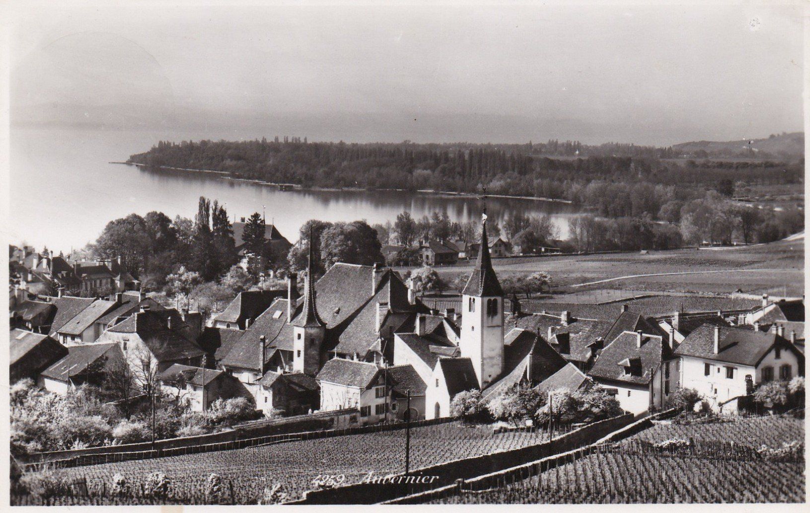 Cartoline postali: AK - Auvernier - gel. 1.8.1956 – Usato da Fribourg venduto da schnalla92