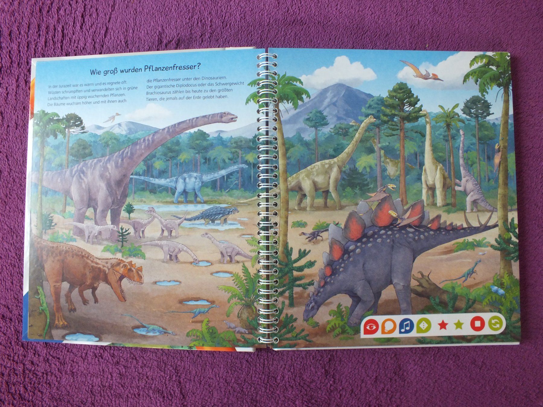 Bücher: tiptoi Buch - Wir entdecken die Dinosaurier – Gebraucht aus Müllheim Dorf von Seeeule01 2
