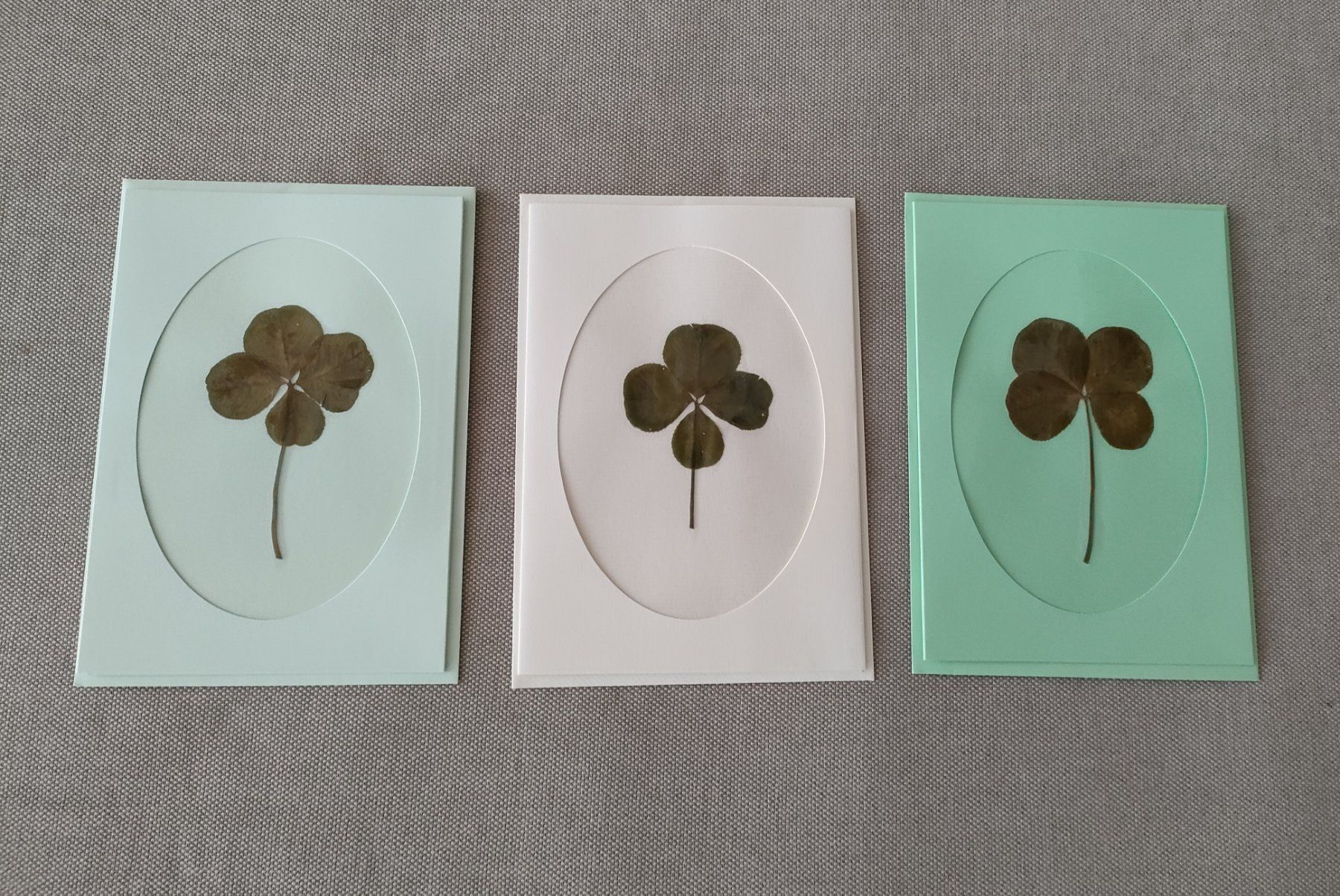 Cartoline: 3 Karten mit echt Klee 🍀 – Nuovo e nell'imballaggio originale da Bern venduto da Lidia.5 1