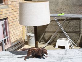 LAMPE MIT HUNDEFIGUR (JAGDHUND?) VINTAGE TISCHLAMPE