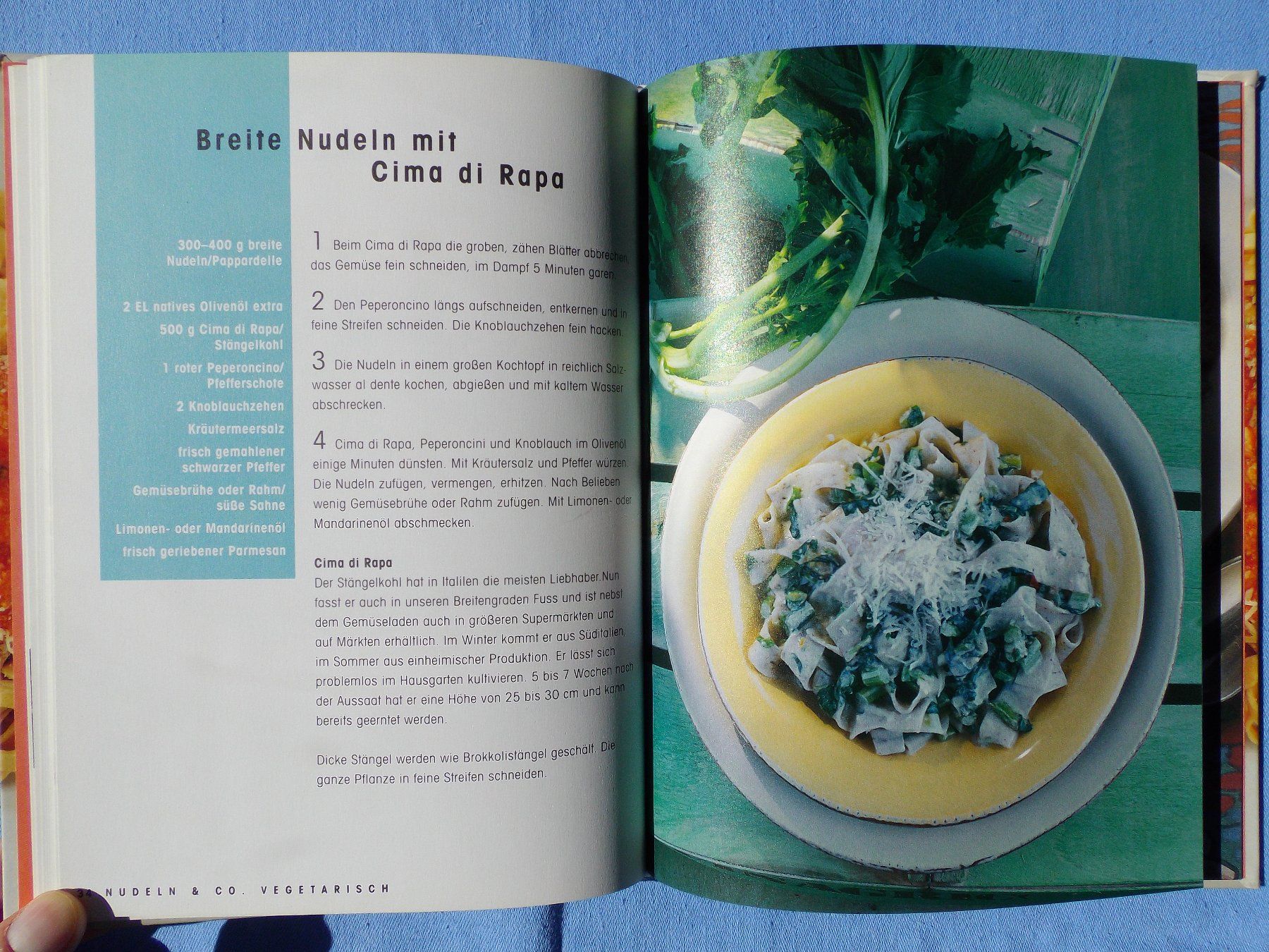 Livres: Viva la pasta – D'occasion à Uster par urs_75by 4