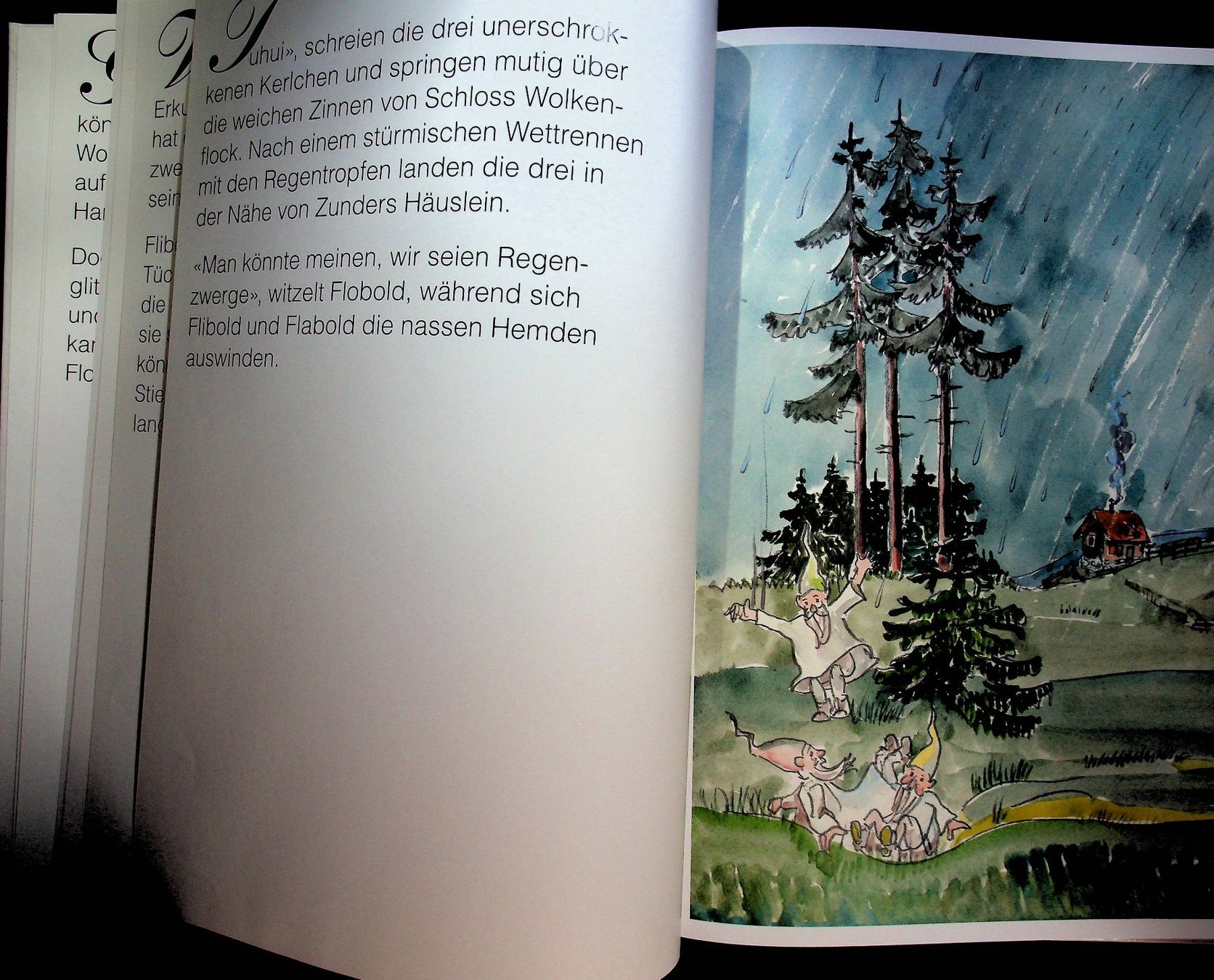 Bücher: Walter Bühler Schneekönig Flock / RAR – Gebraucht aus Reitnau von Zaomir 5