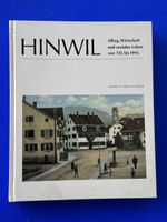 Hinwil. Alltag, Wirtschaft und soz Leben von 745 bis 1995