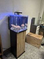 Aquarium Meerwasser Salzwasser Reef Nano Cube Korallen 60L