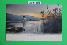 CH Ansichtskarte Rapperswil (SG) um 1905            Los 6942