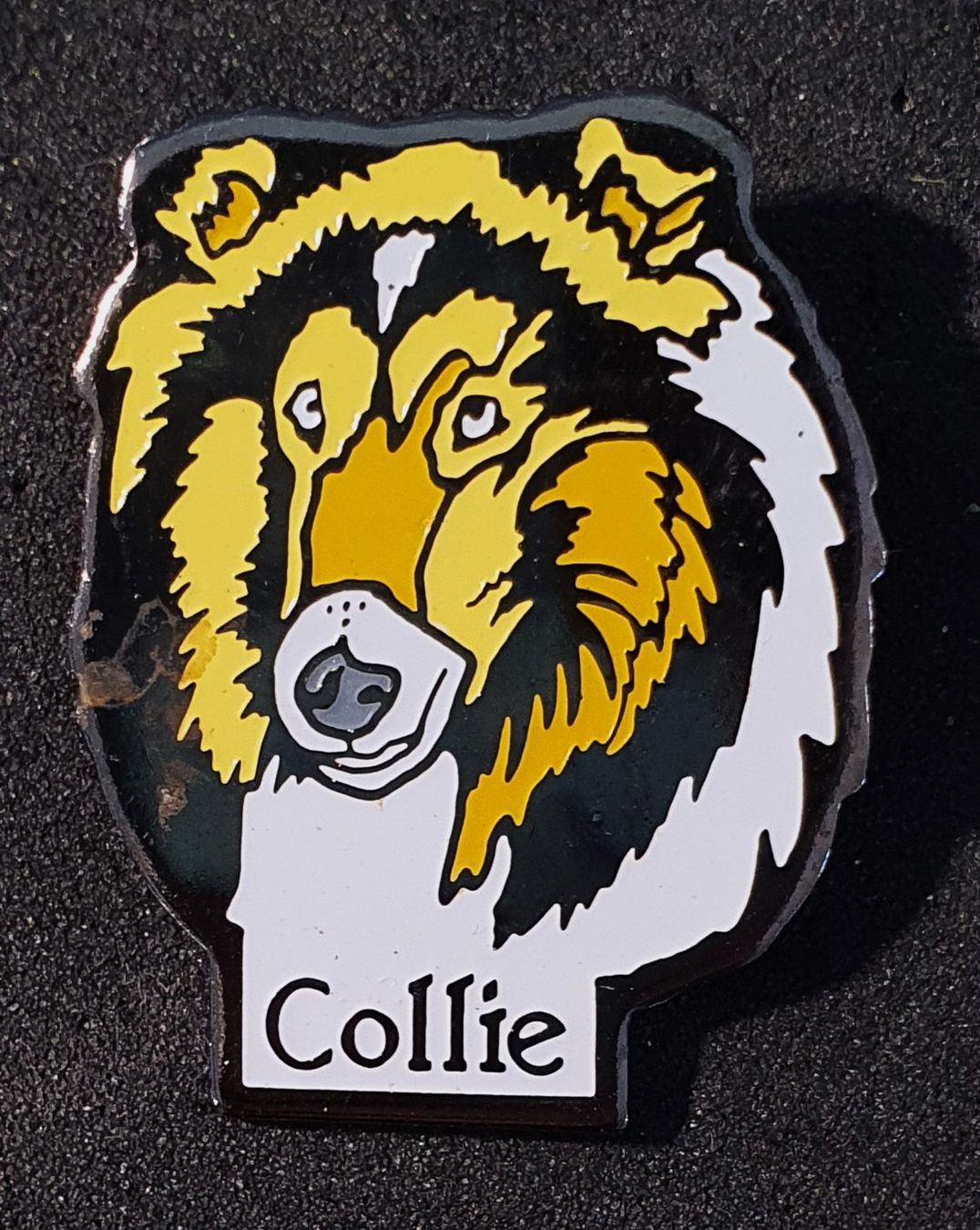 Placchette & Badge: CC409 - Pin Hund - Collie – Usato da Reinach BL venduto da Boston-Verkauf