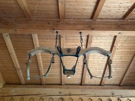 Antike Ochs/Kuh DoppelJoch Simmental Orginal