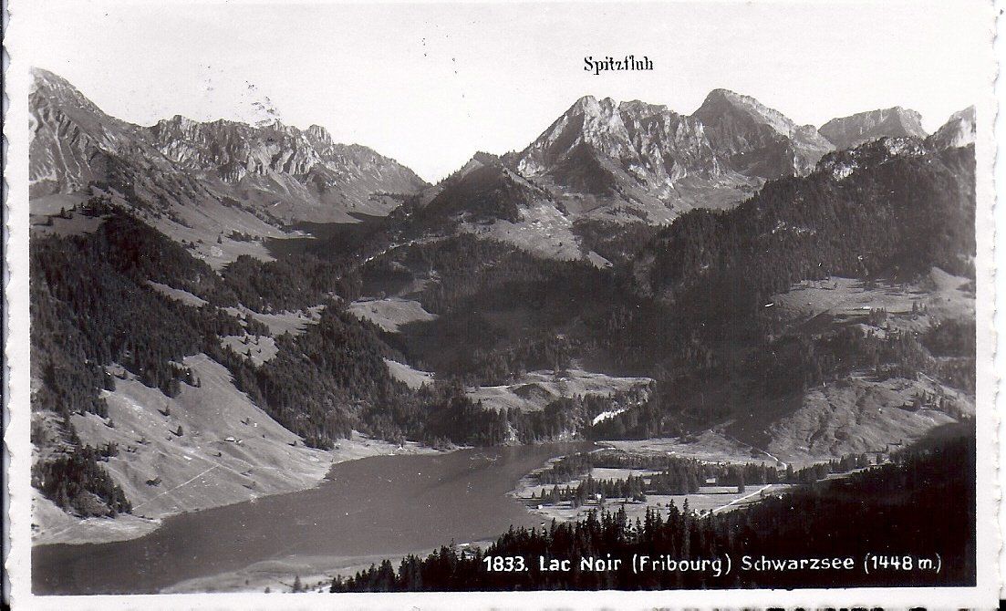 Cartoline postali: LE LAC NOIR, vue sur le lac – Usato da Les Verrières venduto da Scampi0