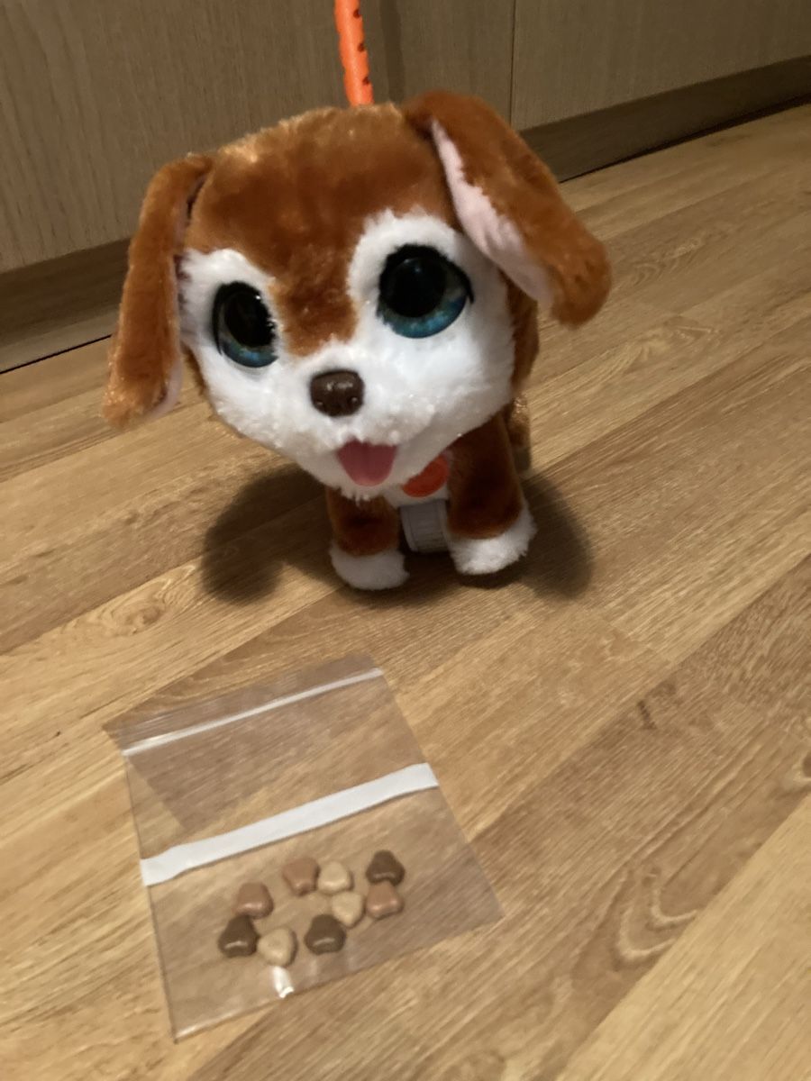 FurReal Jouets: Fur Real Friends Hund Poopalots – D'occasion à Emmenbrücke par JJ_89 1