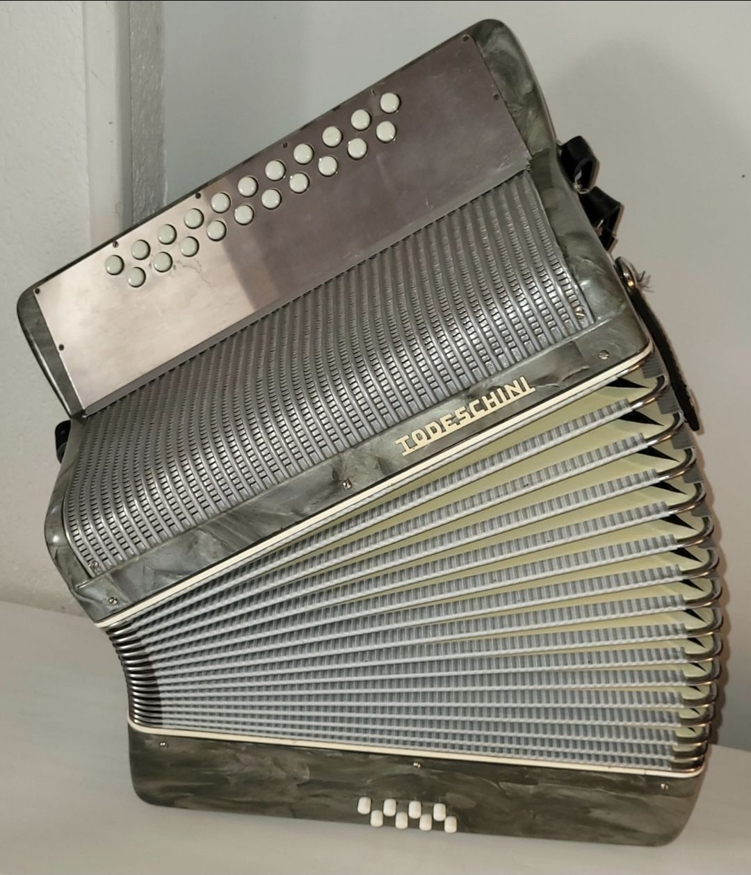 Concertina TODESCHINI (D'occasion) à Penthalaz pour CHF 880 – retrait ...