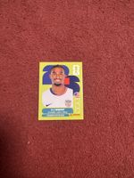 Panini Sticker Haji Wright USA Nr. 19