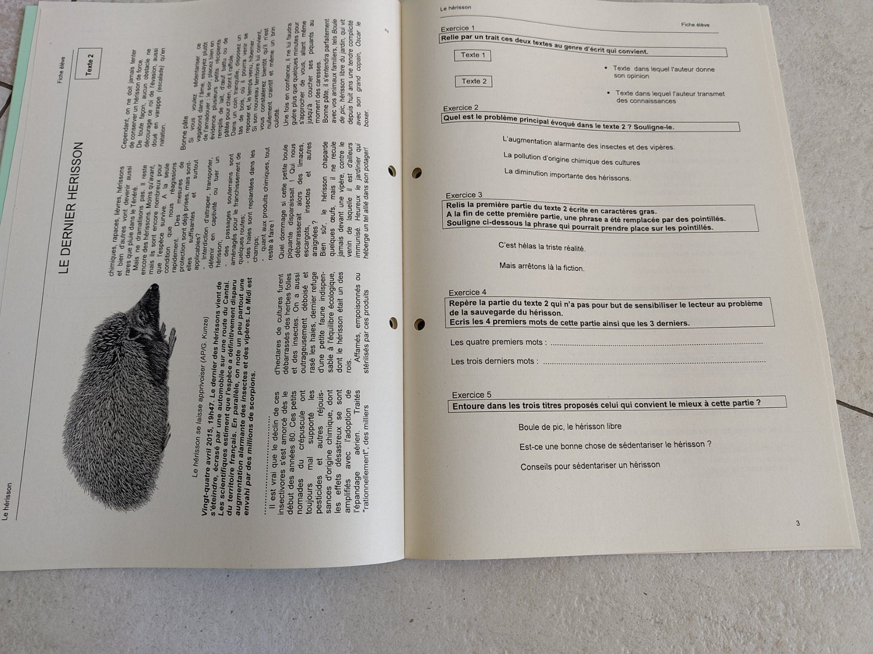 Livres: Cahier de compréhension de texte – D'occasion à Petit-Lancy par chevalier 1