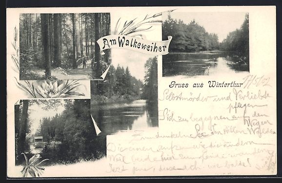 Cartoline postali: AK Winterthur, Partie am Walkeweiher – Usato da Berlin venduto da bartko-reher