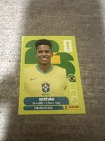 BRA 20 , FIFA WORLD CUP 2026 PANINI
