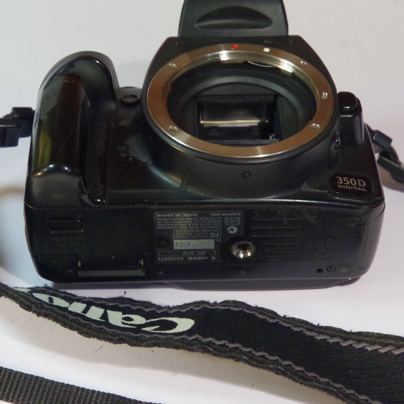 Canon Kamera: Canon EOS 350D – Gebraucht aus Erlinsbach von foto_5018 4