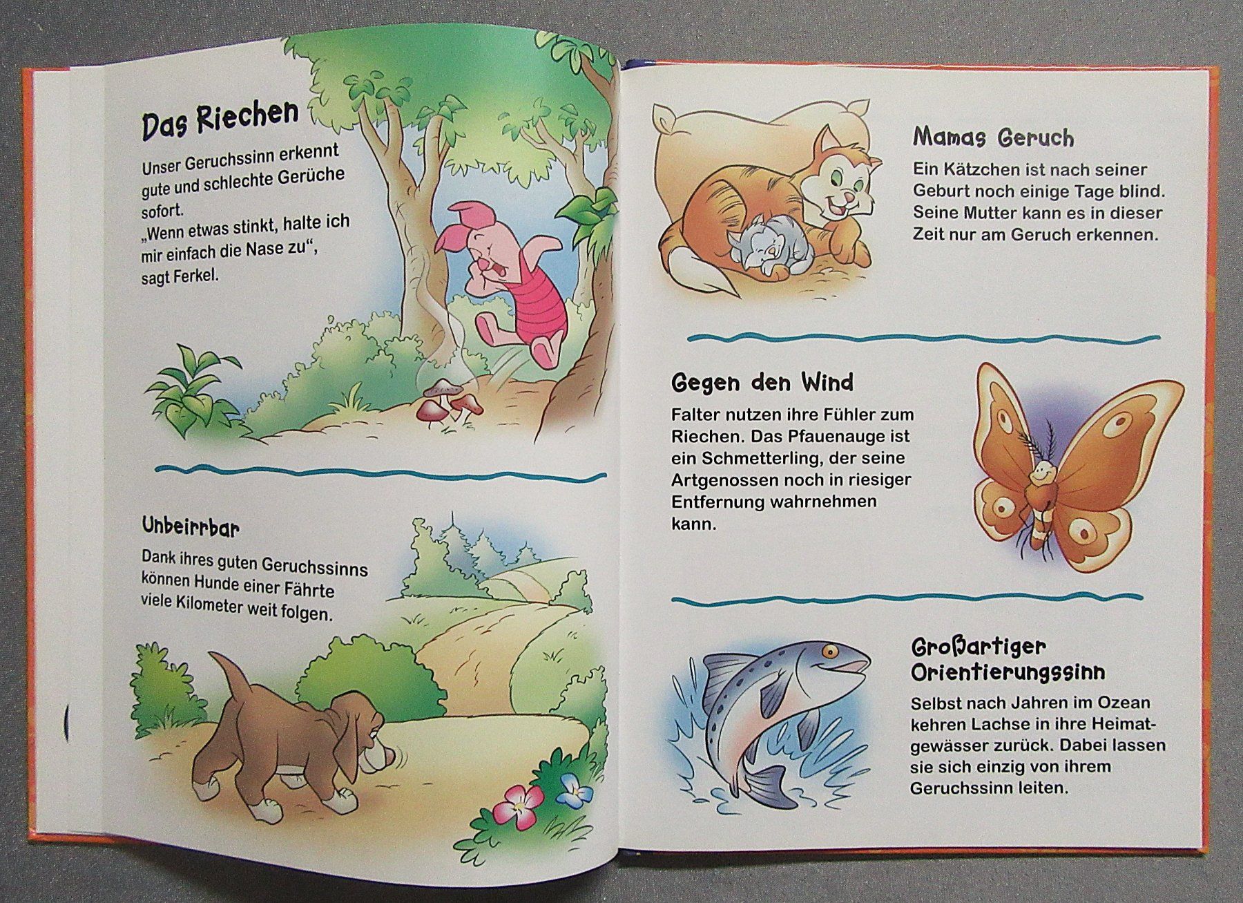 Libri: Winnie Puuh - Entdecke die 5 Sinne – Usato da Auenstein venduto da Padabimbim 5