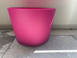 Blumentopf Kunststoff stabil