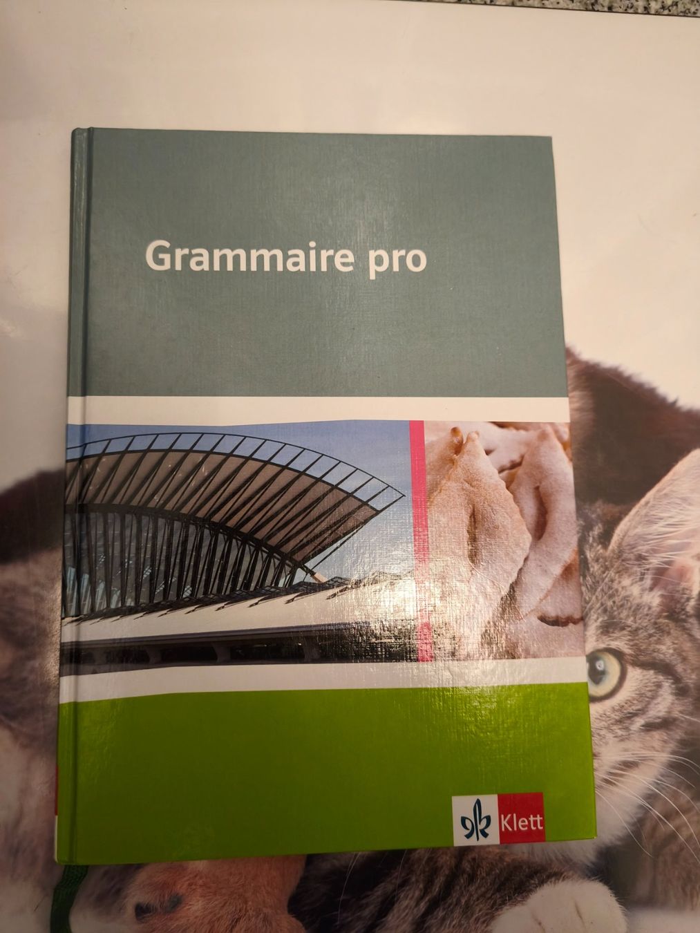 Livres: Französisch Grammatik – Neuf (Voir description) à Starrkirch-Wil par wae_xd2j