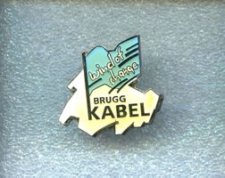 BRUGG KABEL
