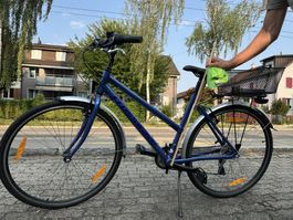 Crosswave Damenvelo – 28 Zoll – Rahmengrösse 50
