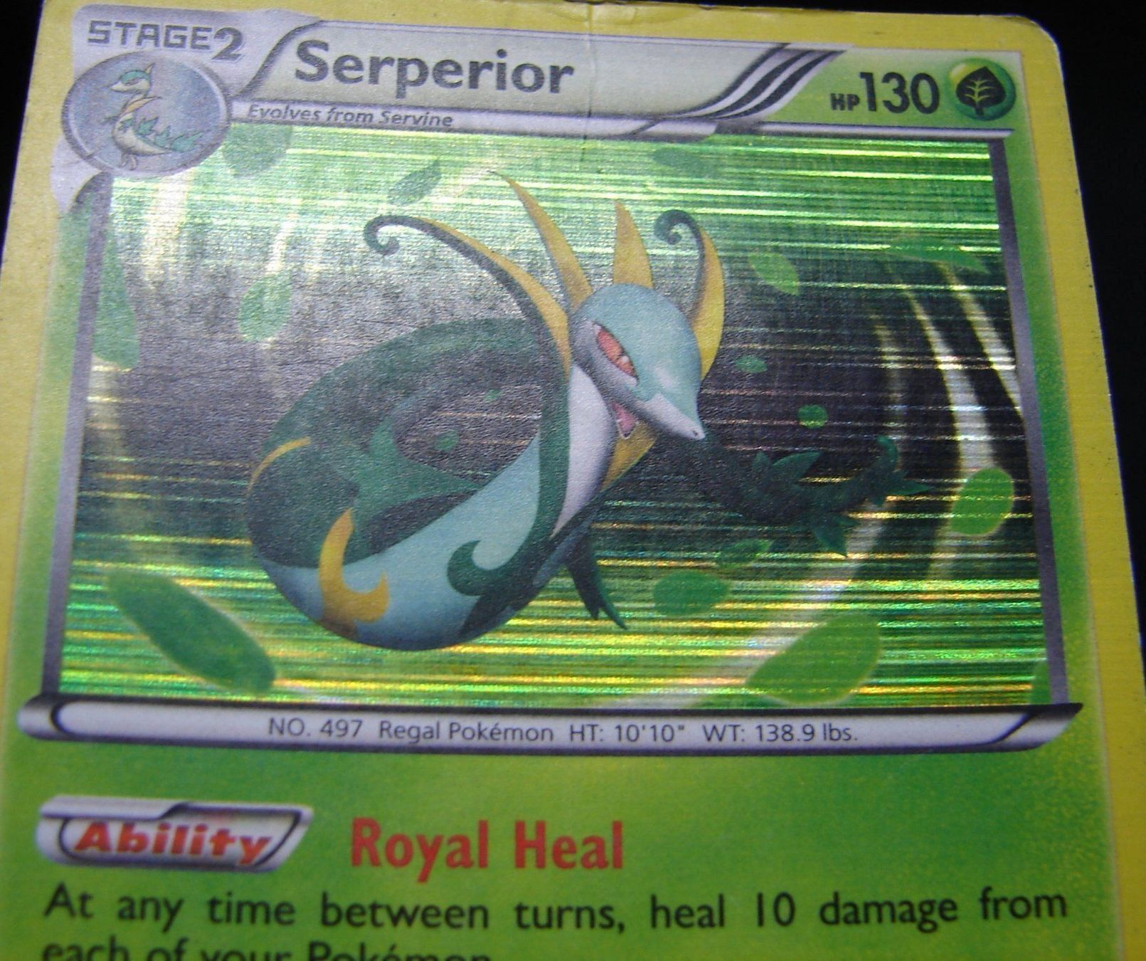 Pokémon Carte collezionabili: Serperior Promo Holo                /163 – Usato da Rümlang venduto da coh_87ww 3