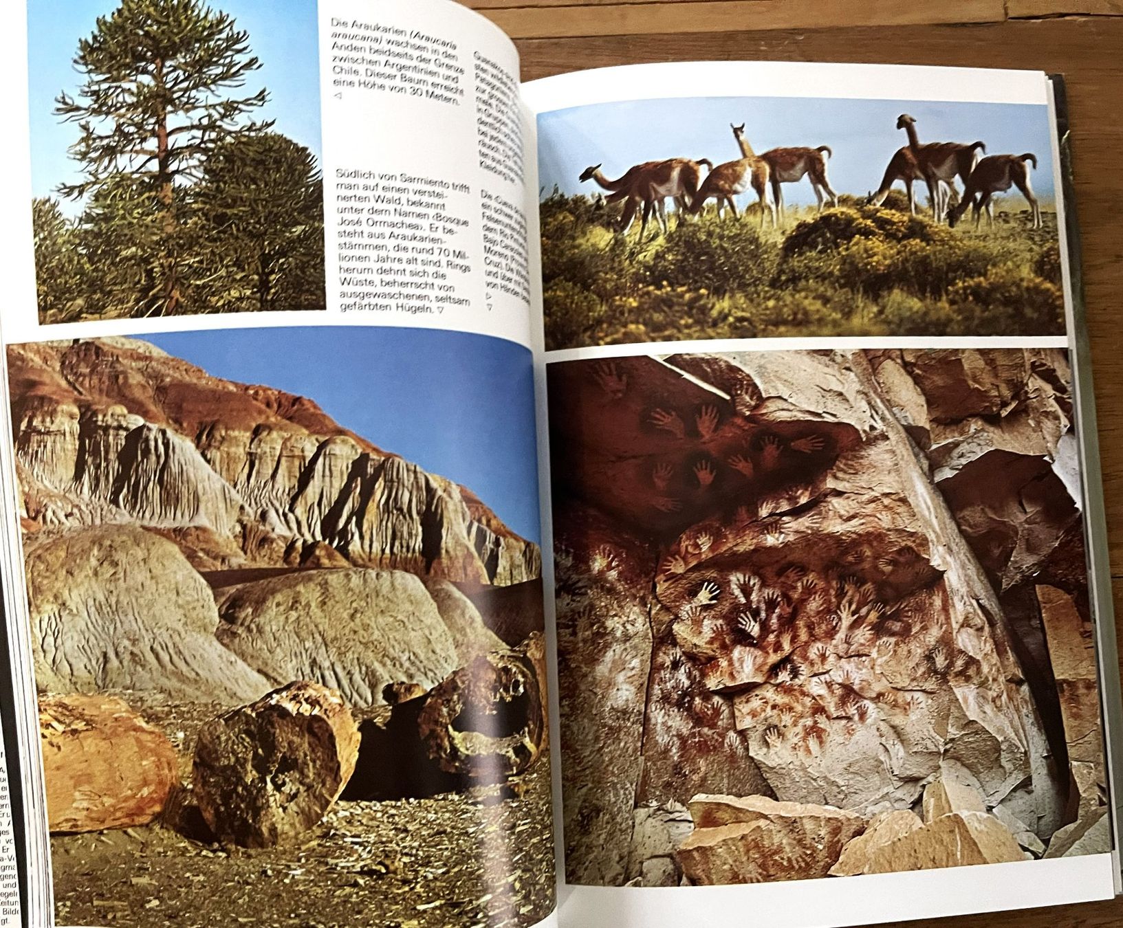 Libri: Silva Verlag, Argentinien , 1976 – Usato da Oftringen venduto da Vucki 5