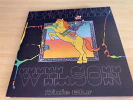 Jonathan Wilson – Dixie Blur