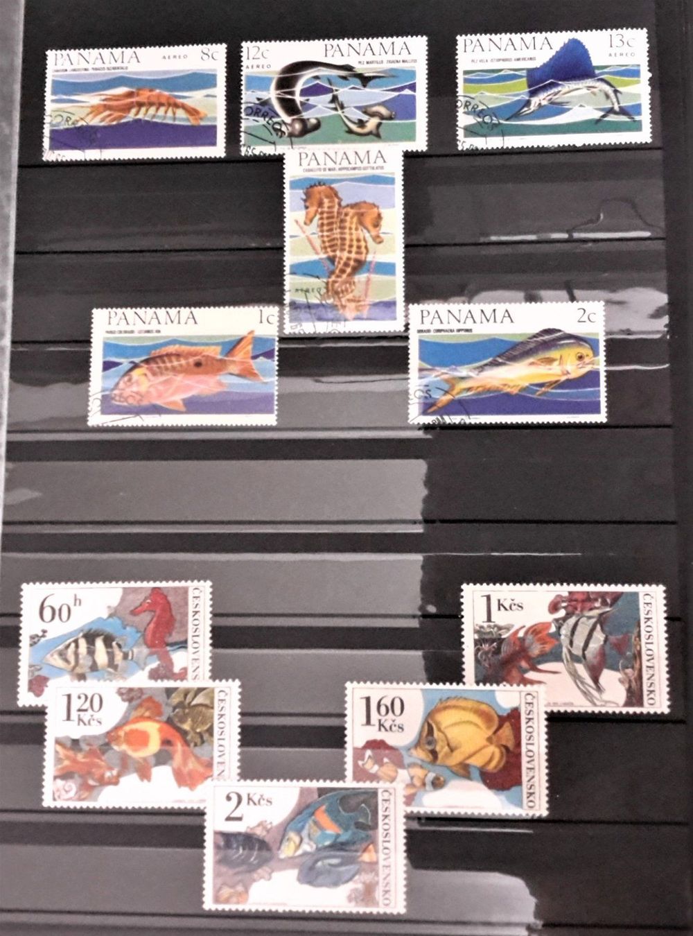 Alle Briefmarken: Internationale Briefmarken THEMA-Sammlung  "FISCHE DER WELT" – Neu (gemäss Beschreibung) aus Zug von Aeschroot 6