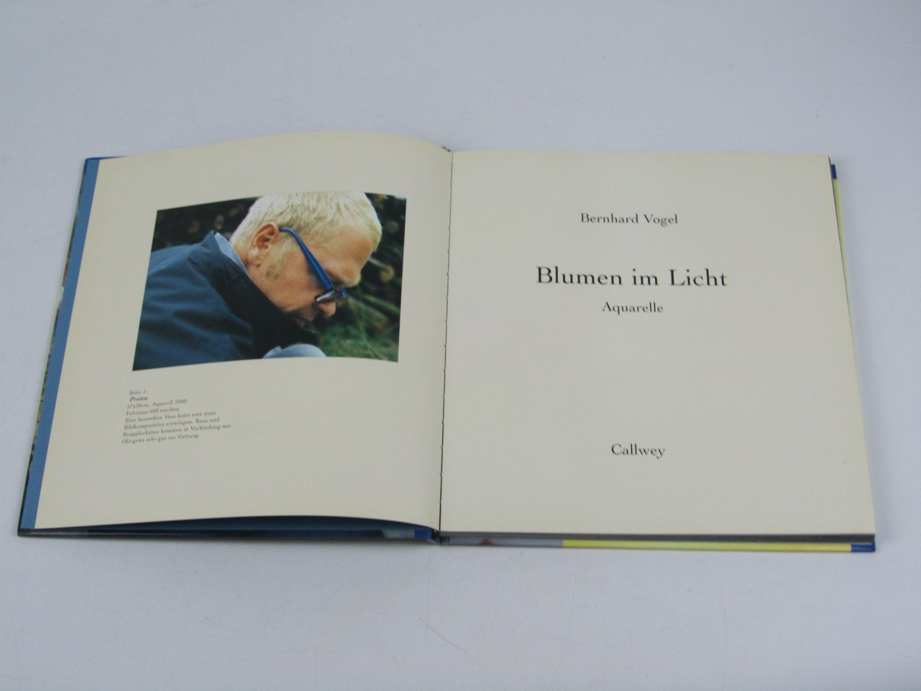 Libri: Blumen Aquarelle im Licht - Bernhard Vogel – Usato da Muhen venduto da Restwert_Muhen 2