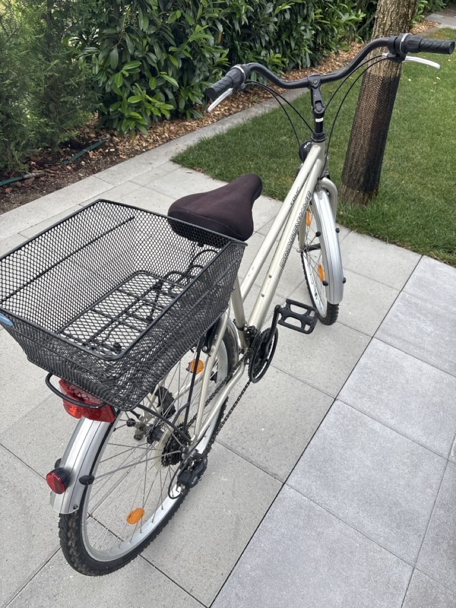 Crosswave Biciclette: Crosswave Tour 26" – Usato da Endingen venduto da Petermuster 8