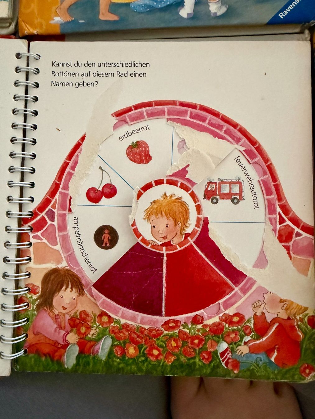 Libri: Wieso Weshalb Warum – Usato da Spreitenbach venduto da EdTasch 1